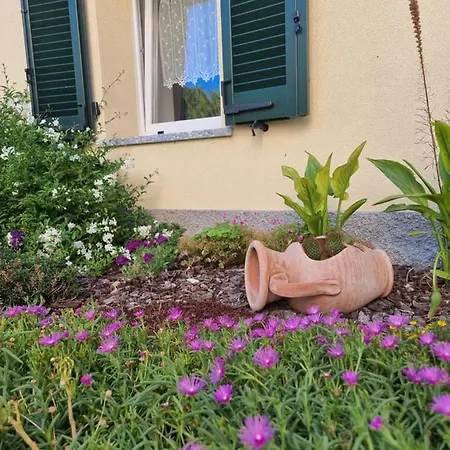 Residenze Lariane Apartment Colico